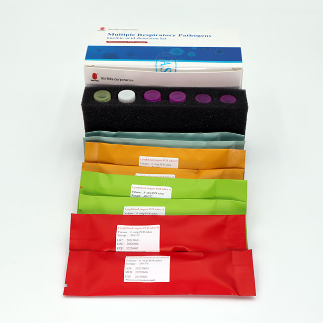 Respiratory Mutiplex PCR Test 