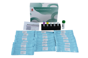Human Papillomavirus HPV Genotyping Detection Kit (Fluorescence PCR Method) 