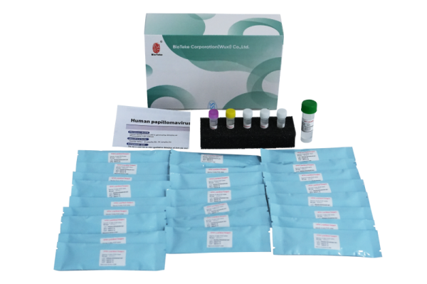 Human Papillomavirus HPV Genotyping Detection Kit (Fluorescence PCR Method) 