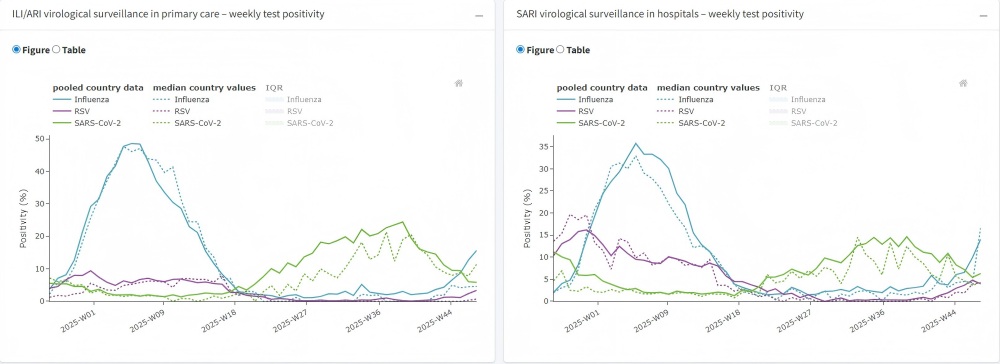 Sammanfattning av EU:s luftv&auml;gsvirus&ouml;vervakning 2025