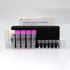 Bioteke Flera andningspatogener nukleinsyrasetekteringssats (fluorescens PCR-metod) PR2022-RP06