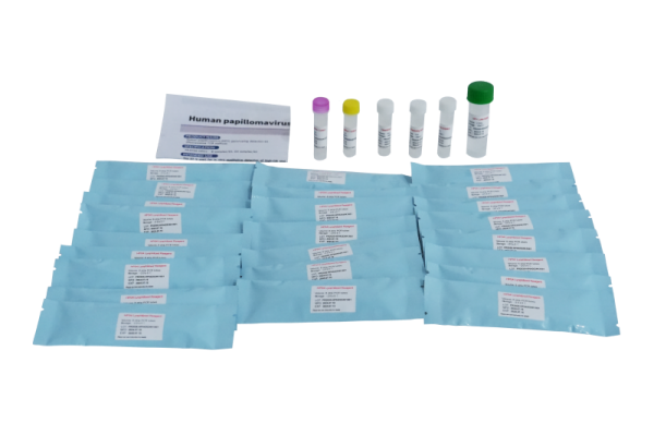 Human Papillomavirus (HPV) Genotyping Detection Kit PR2026-HP01 (fluorescens PCR-metod)