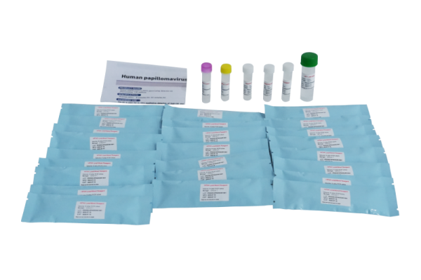 HPV Genotyping Test Kit 