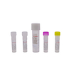 Sexuellt överförd infektion (STI) screeningpaket (fluorescens PCR -metod)